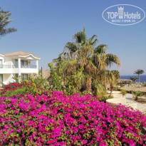 фото из отзыва ID 2746995