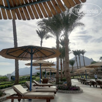 фото из отзыва ID 2746995