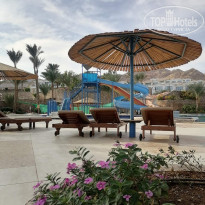 фото из отзыва ID 2746995