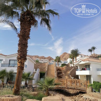 фото из отзыва ID 2746995