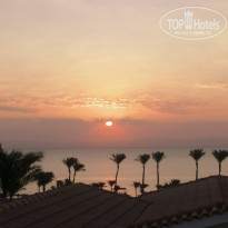 фото из отзыва ID 2746995