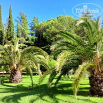 фото из отзыва ID 2746998