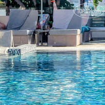 фото из отзыва ID 2747009