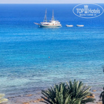 фото из отзыва ID 2747009