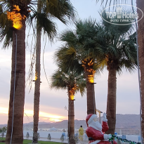 фото из отзыва ID 2747013