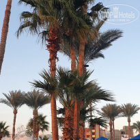 фото из отзыва ID 2747013