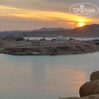 фото из отзыва ID 2747013