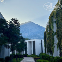 фото из отзыва ID 2747031