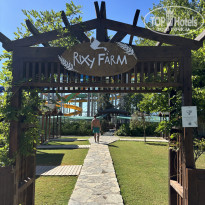 фото из отзыва ID 2747031