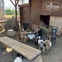 фото из отзыва ID 2747031