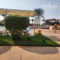 фото из отзыва ID 2747059