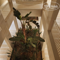 фото из отзыва ID 2747059