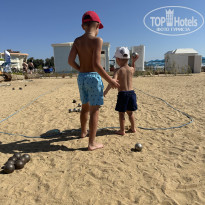 фото из отзыва ID 2747060