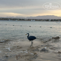 фото из отзыва ID 2747144