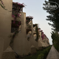 фото из отзыва ID 2747144