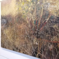 фото из отзыва ID 2747153