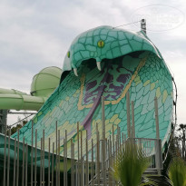 фото из отзыва ID 2747153