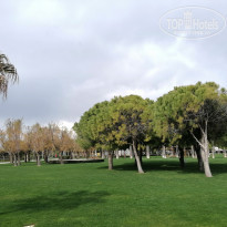 фото из отзыва ID 2747153