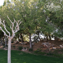 фото из отзыва ID 2747153