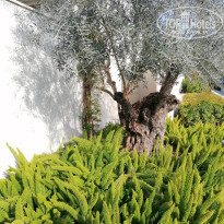 фото из отзыва ID 2747153