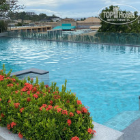 фото из отзыва ID 2747165