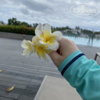 фото из отзыва ID 2747165