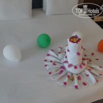 фото из отзыва ID 2747177