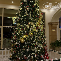 фото из отзыва ID 2747179