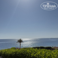 фото из отзыва ID 2747179