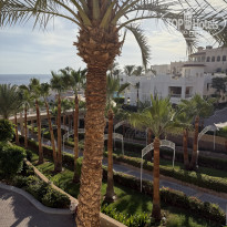 фото из отзыва ID 2747179