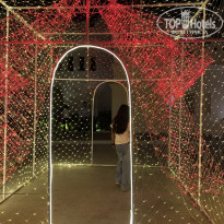 фото из отзыва ID 2747179