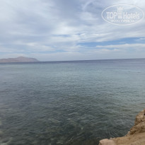 фото из отзыва ID 2747237