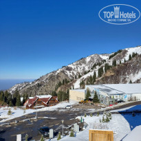 фото из отзыва ID 2747253