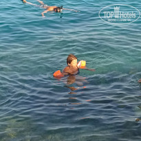 фото из отзыва ID 2747262