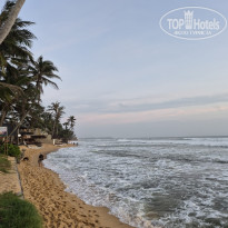 фото из отзыва ID 2747332