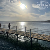 фото из отзыва ID 2747317