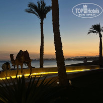 фото из отзыва ID 2747317