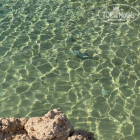 фото из отзыва ID 2747317