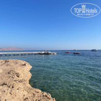 фото из отзыва ID 2747317