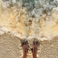 фото из отзыва ID 2747362