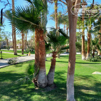 фото из отзыва ID 2747395