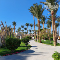 фото из отзыва ID 2747395