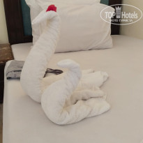 фото из отзыва ID 2747402