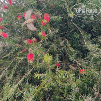 фото из отзыва ID 2747402