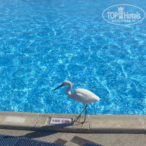 фото из отзыва ID 2747402