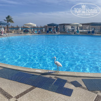 фото из отзыва ID 2747402