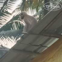 фото из отзыва ID 2747453