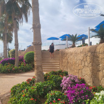 фото из отзыва ID 2747491