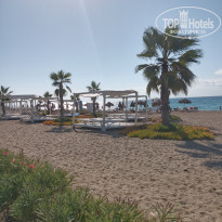 фото из отзыва ID 2747539