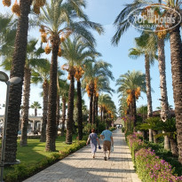 фото из отзыва ID 2747539